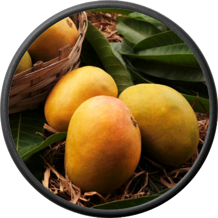 Fresh Mango